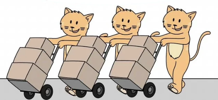 Коты везут коробки на тележках